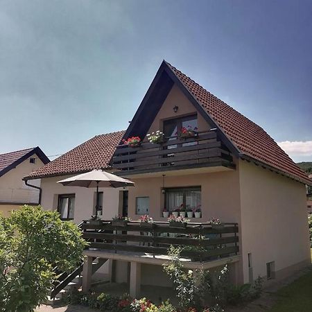 Putnicka Kuca Kod Dragane Hotel Баина Баща Екстериор снимка