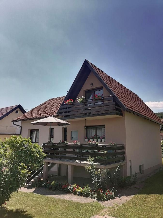 Putnicka Kuca Kod Dragane Hotel Баина Баща Екстериор снимка